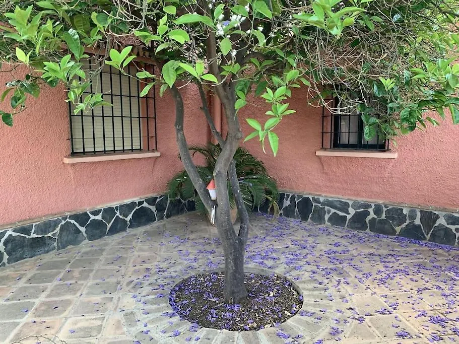 Villa Costa Del Sol Torremolinos